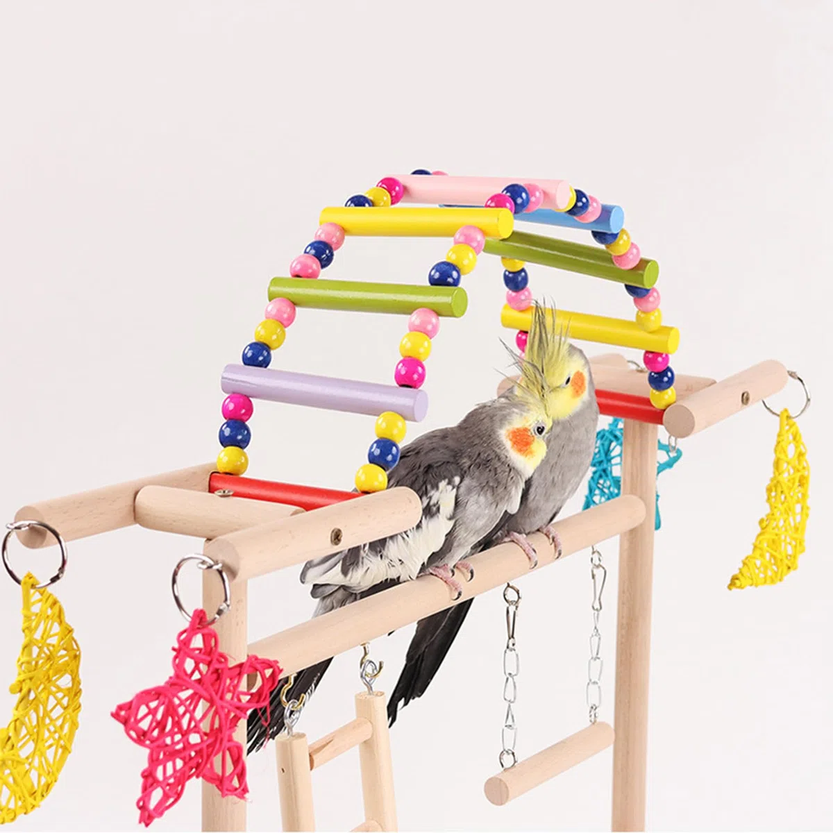 Parrots Bird Gym - Juego de soporte de madera para periquitos, periquitos, periquitos, juguete para pájaros pequeños
