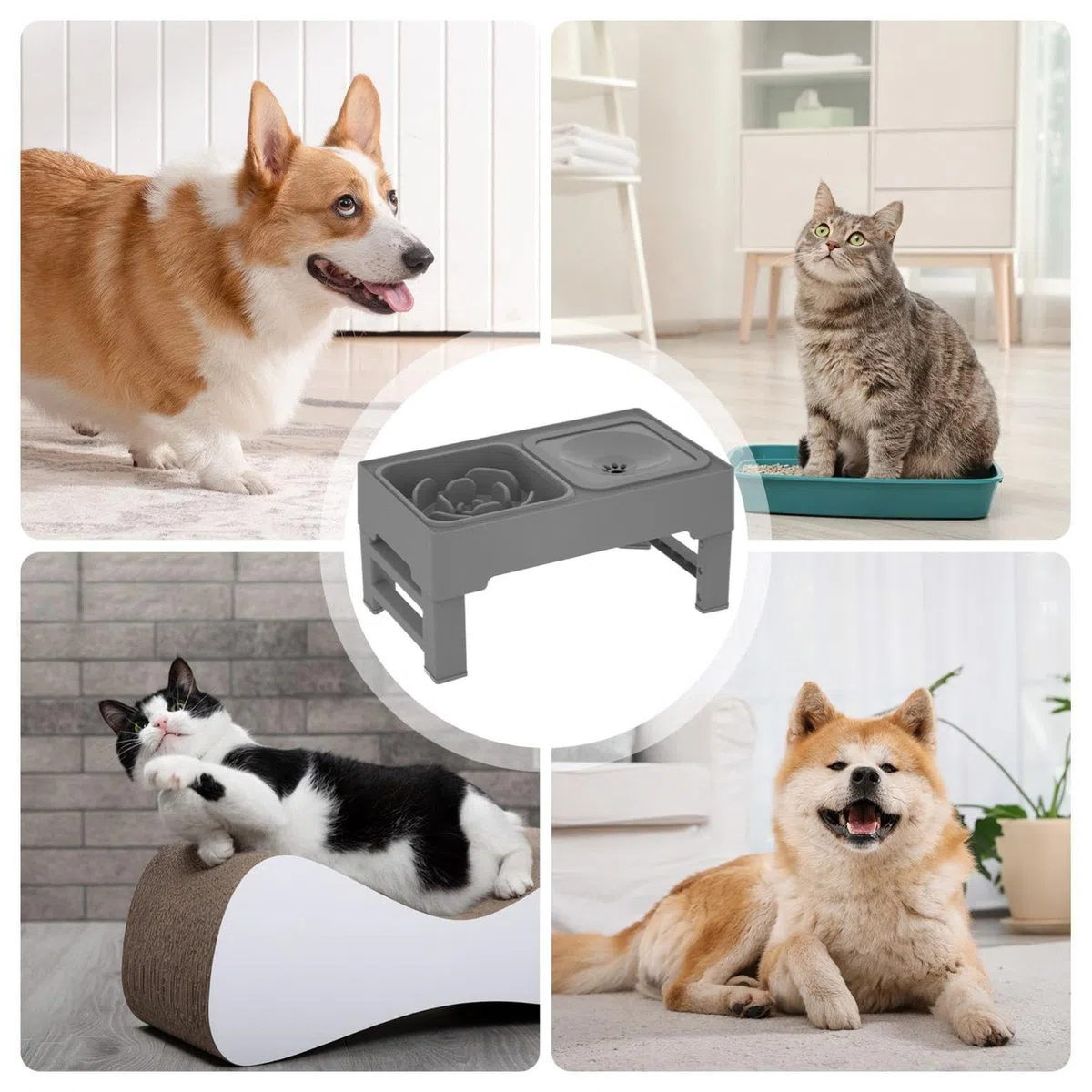 Elevado para Perros Bebedero de Altura Ajustable y Antiderrame para