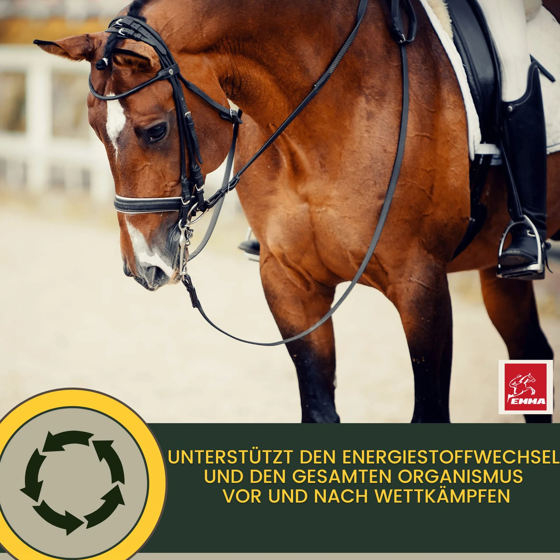 Pasta vitamínica para Caballos Aminoácidos Caballo Amino Vitamina E Levadura de Cerveza Energía Alimento reconstituyente para músculos doloridos Regeneración Rendimiento Muscular Musculación 3 * 30ml