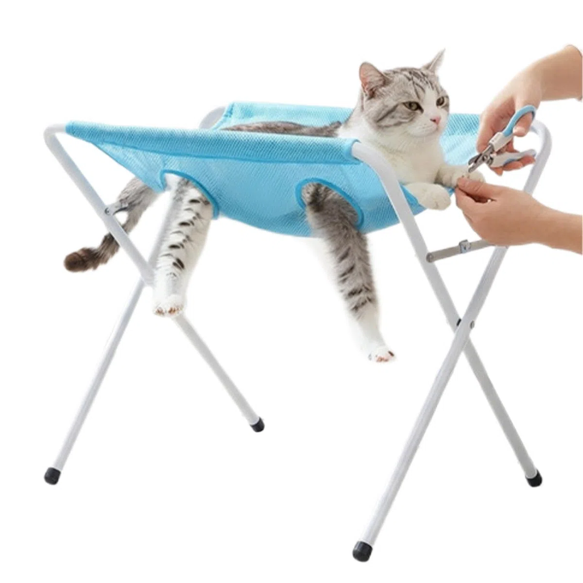 Mesa De Aseo Para Mascotas 8 Orificios Antiescape Desmontable | Mesa De Aseo Para Cachorros Con Restricción para Gatos Cachorros Baño Limpieza de Orejas y Dientes Corte de Uñas