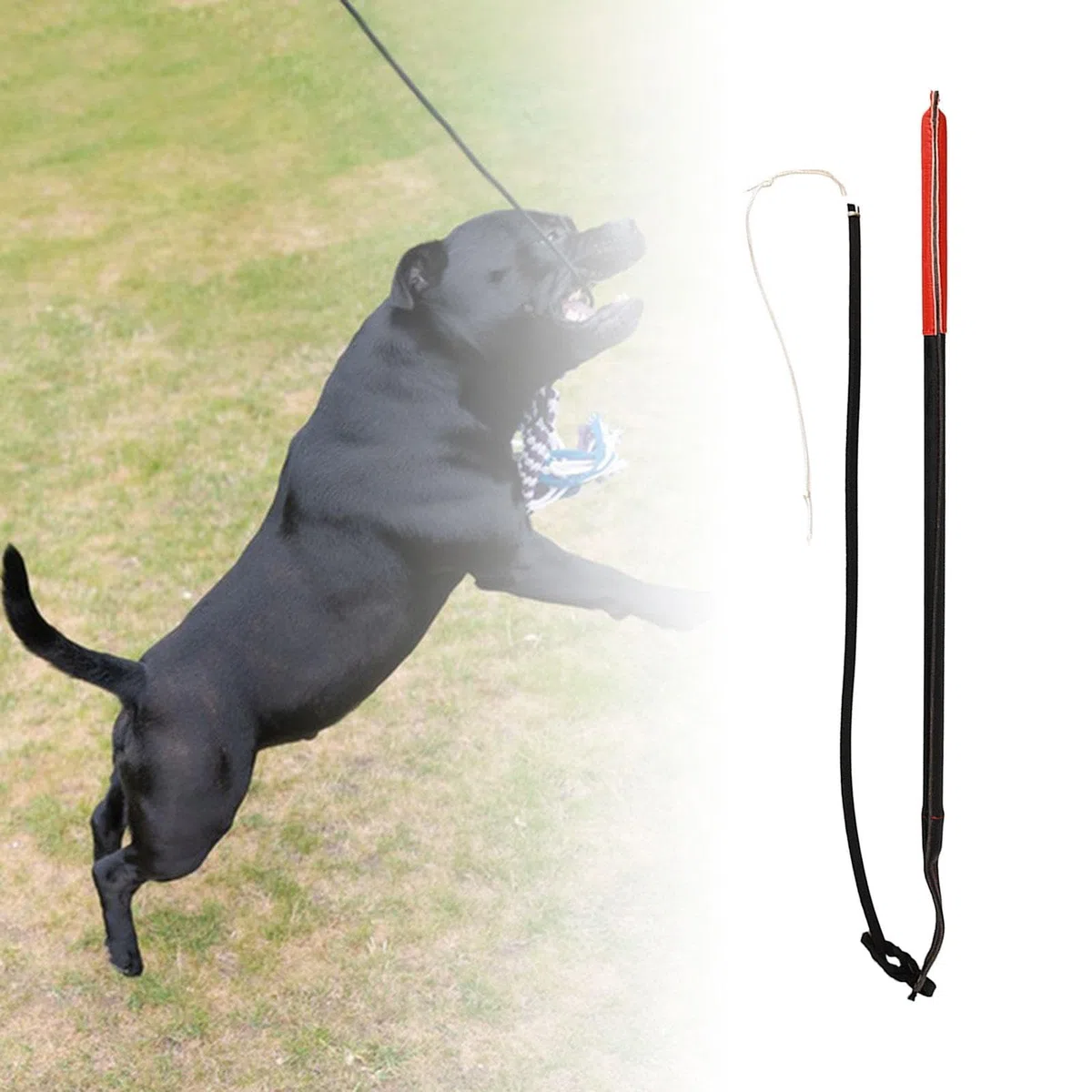 Juguete Interactivo para Perros, Cuerda Resistente para Tirar, Almohada Masticable, Dos Asas Resistentes, Costuras Reforzadas, Adecuado, Poste de coqueteo