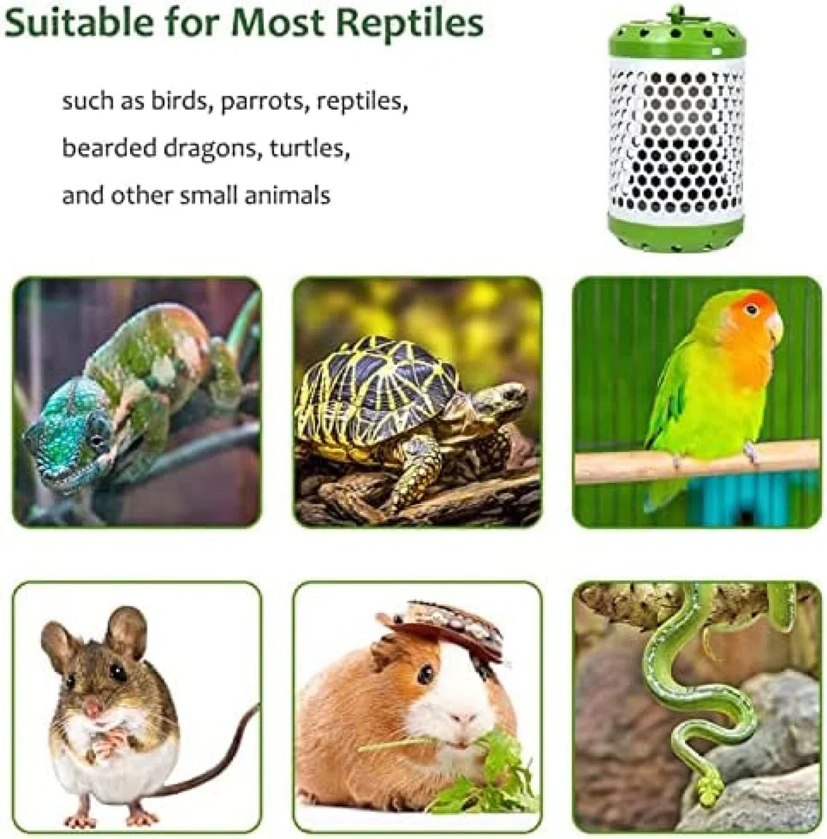 Bombilla de lámpara de Calor Ajustable de 100W, Calentador de lámpara de calefacción para Reptiles, Calentador de pájaros con Pantalla antiescaldaduras y línea antimordidas