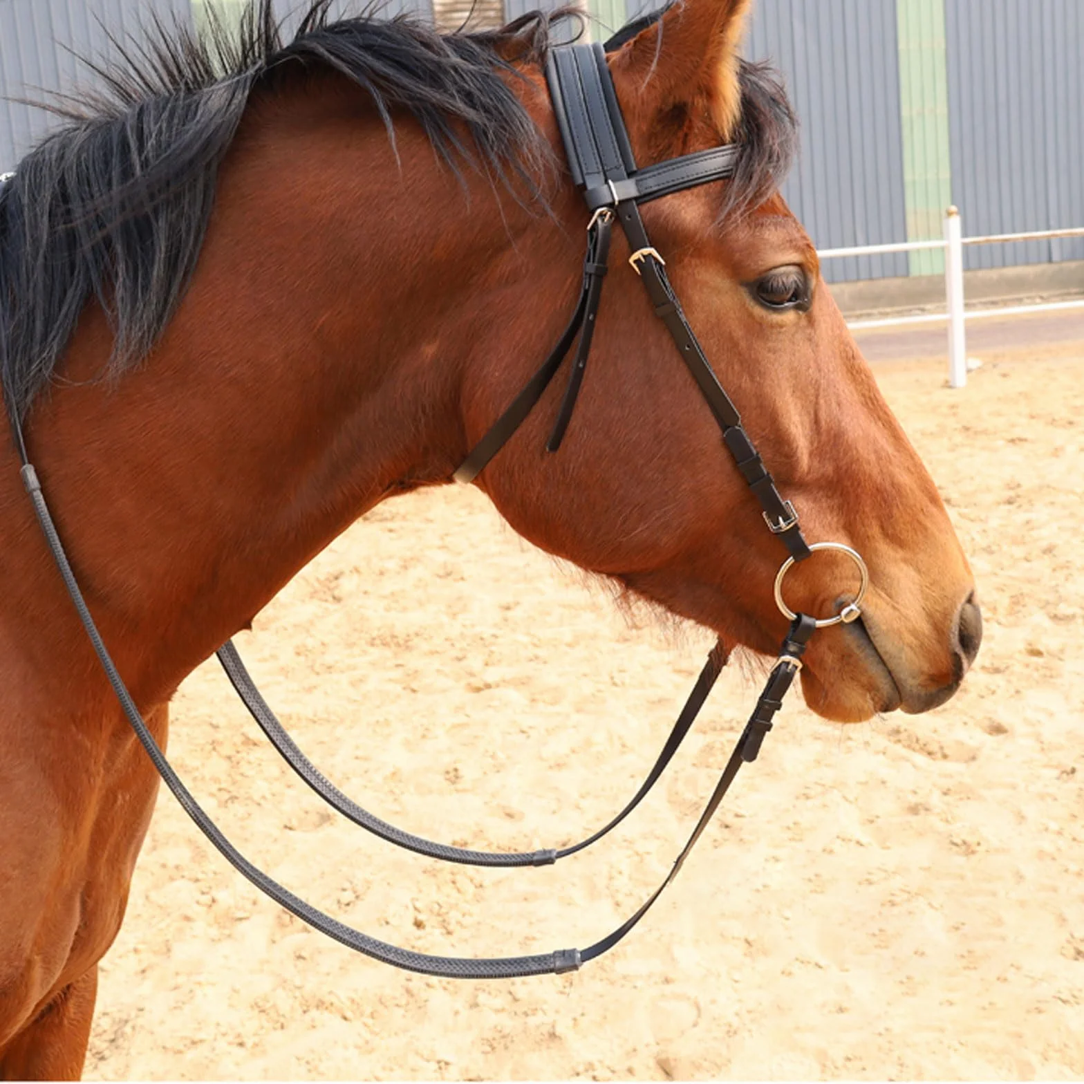 Cabeza de jaula de nylon pesada ajustable, Talla multicolora ajustable anatómica impermeable del caballo del PVC L for los caballos sobre el 1.35m(Lake Blue)