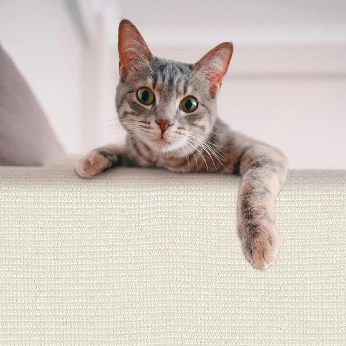 DOITOOL Protector contra Arañazos para Gatos Funda de Sofá de Sisal, Resistente y Entretenido, Adecuado para Oficina y Hogar, Protege Muebles y Reposabrazos