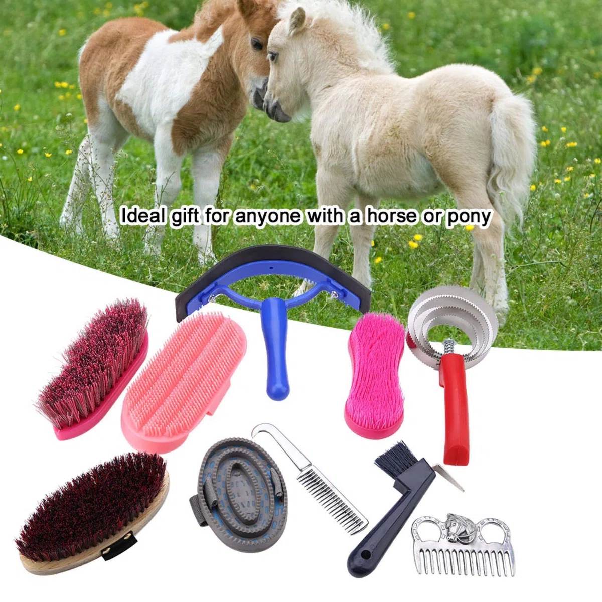 Juego de Herramientas de Limpieza para Caballos, Suministros de Tachuelas para Caballos, Cepillo Equestrain, cepillos para Caballos, Cepillo para el Cuidado del Caballo, Juego de cepillos