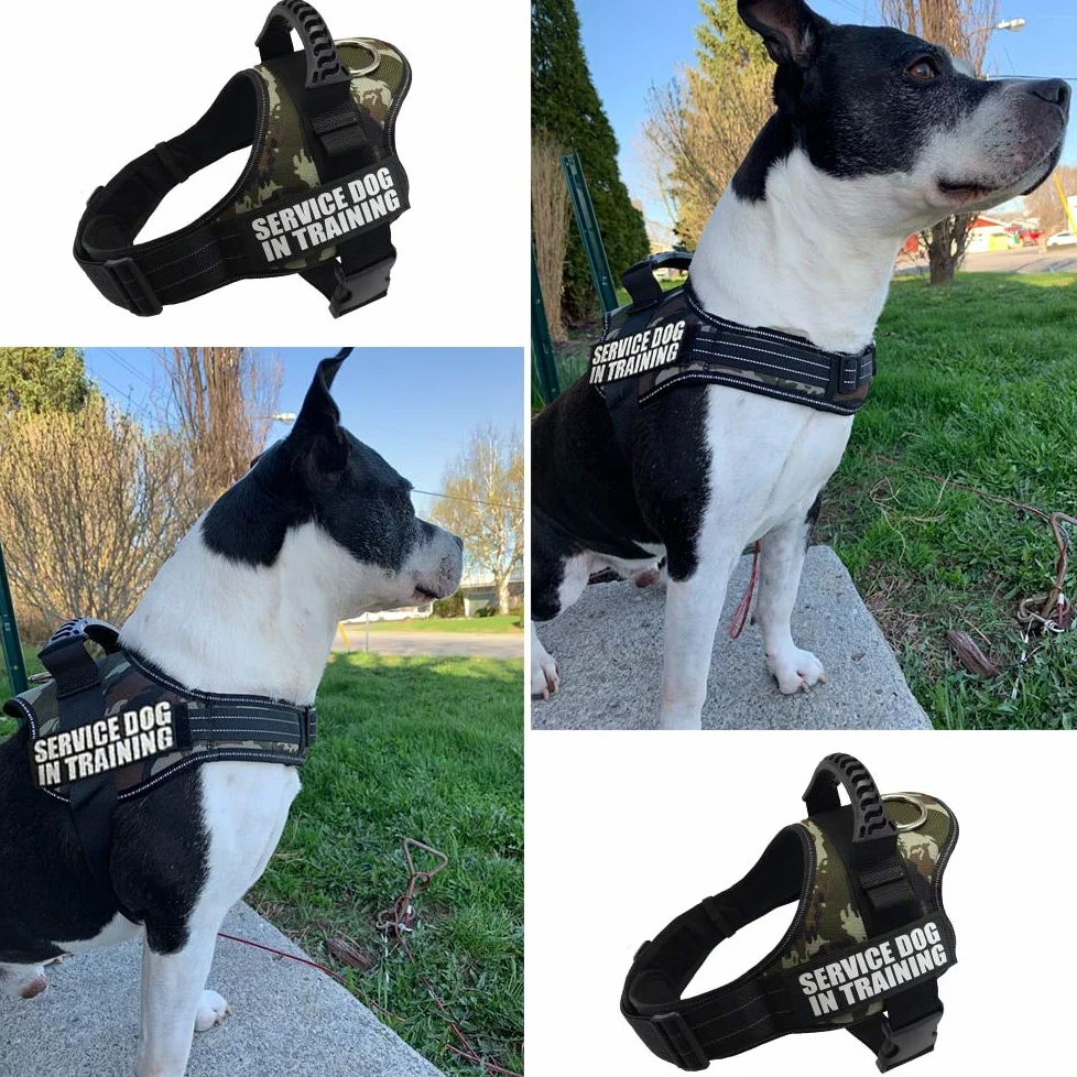Cinturón de seguridad para perro de nylon reflectante chaleco cinturón de seguridad XS-XXL para pequeño perro grande Chihuahua Husky bulldog perro gato cinturón de seguridad cuerda de tracción suminis