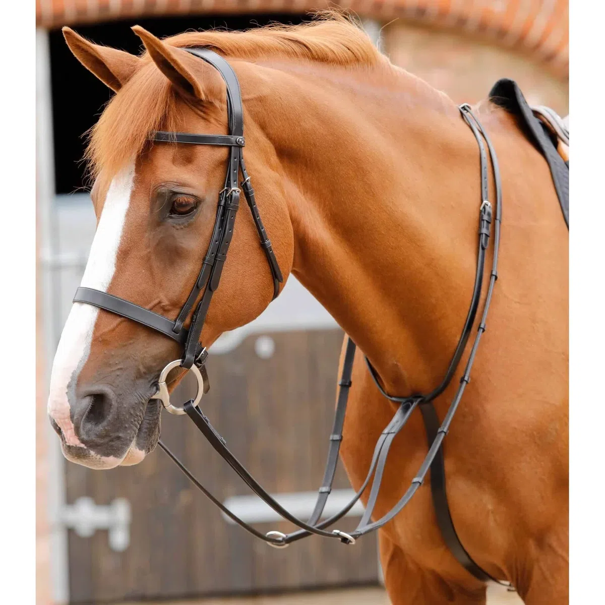 Premier Equine Martingala para Caballos Fuscaldo