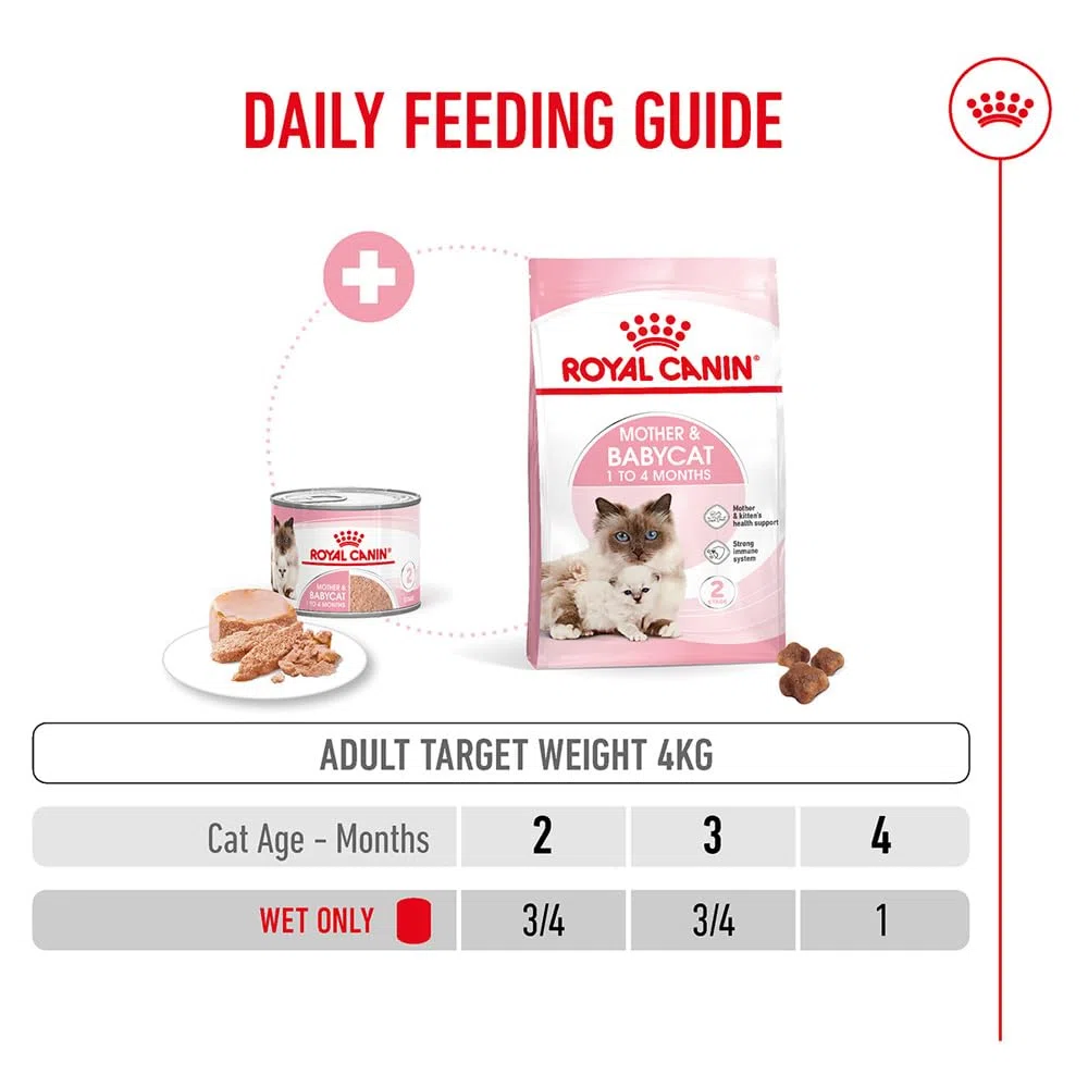 Royal Canin Mother & Babycat Mousse | 12 x 195 g | Alimento Completo para Gatos | Especialmente para la Gata Madre y Sus Gatitos | para apoyar Las defensas Naturales