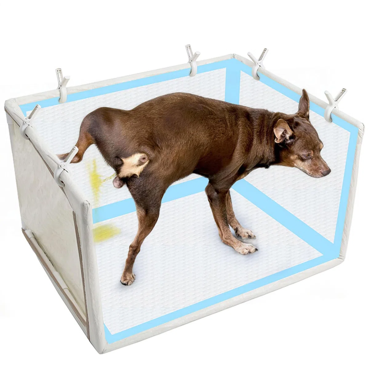 Bandeja Sanitaria Para Perros Impermeable Con Paredes Altas Para Mascotas | Estación para Hacer Pis en Interiores Para Apartamento Balcón Sala De Estar Pequeño Mediano
