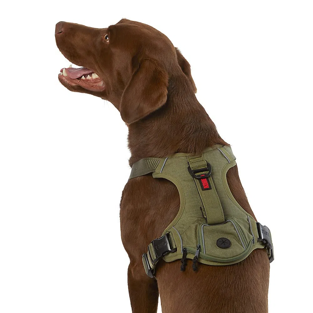 Kong Arnés de Bolsa de Basura Ultra Duradero (Mediano, Verde)