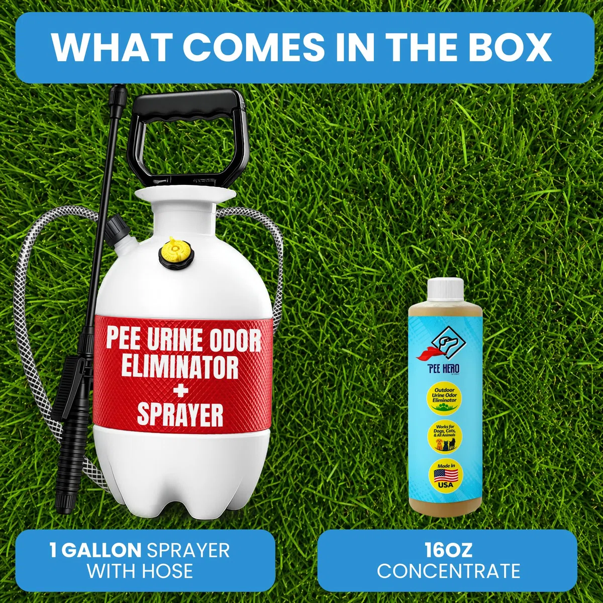 Pee Hero - Concentrado eliminador de olores de orina de mascotas, pulverizador de 1 galón y concentrado de 16 onzas (hace una solución de 2 galones) | Desodorante de patio para orina de perro y caca |