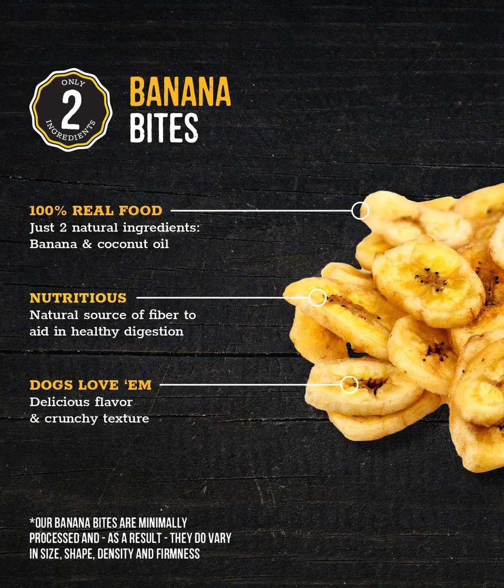 Wholesome Pride Banana Bites - Golosinas para Perros, 2 Ingredientes, plátanos y Aceite de Coco, sin Cereales, 473,6 g