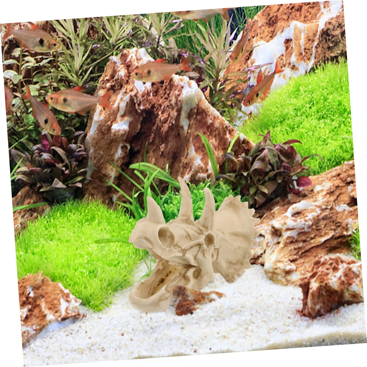 POPETPOP 4 Piezas Decoración De Pecera Escondite De Pecera Escondite De Camarones De Pescado Decoración del Terrario del Cráneo Adorno De Paisajismo De Acuario Pecera para Niños Resina