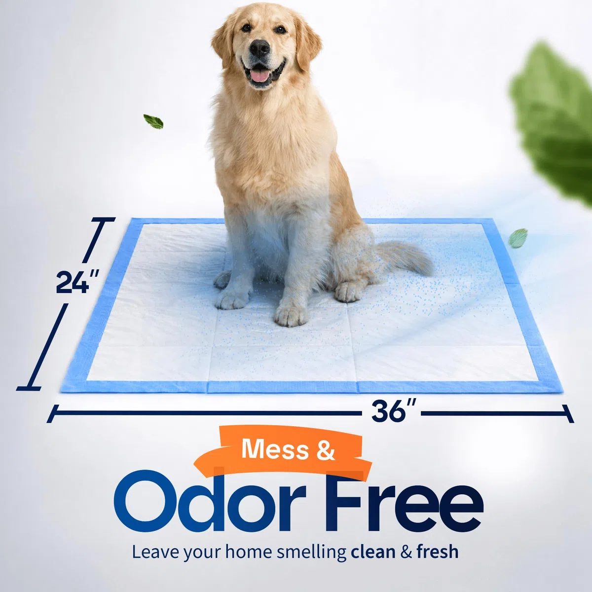 Healqu Almohadillas para cachorros – 50 unidades, 23 x 24 – Tecnología avanzada a prueba de fugas para romper la casa y entrenamiento – Almohadillas ultra absorbentes para orina de cachorros – Ideal