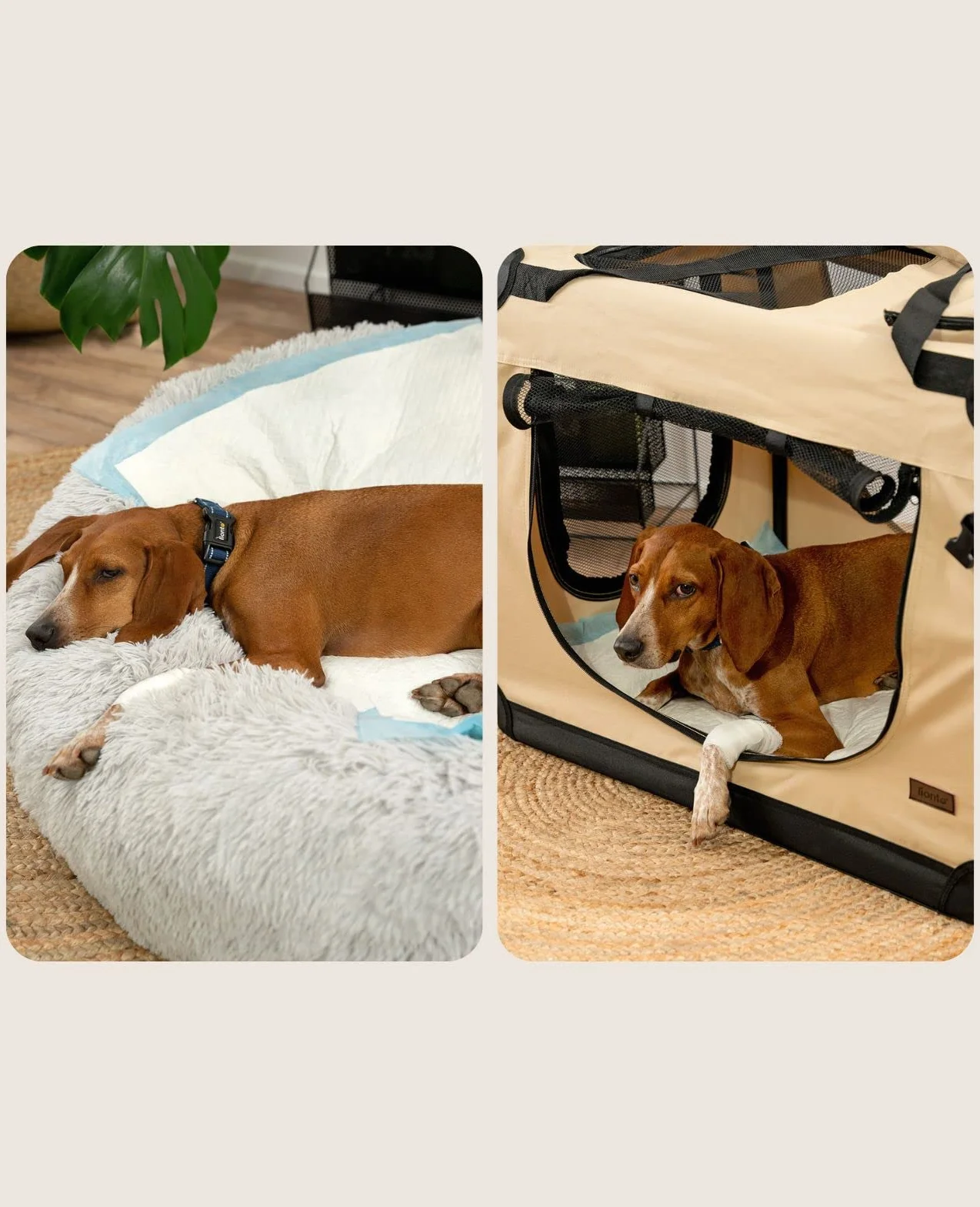 lionto Alfombrilla de Entrenamiento para Cachorros, 6 Capas con Tiras Adhesivas, 100 Unidades 60x90 cm, a Prueba de Fugas y Alta Capacidad de absorción para Animales Enfermos e incontinentes, Azul