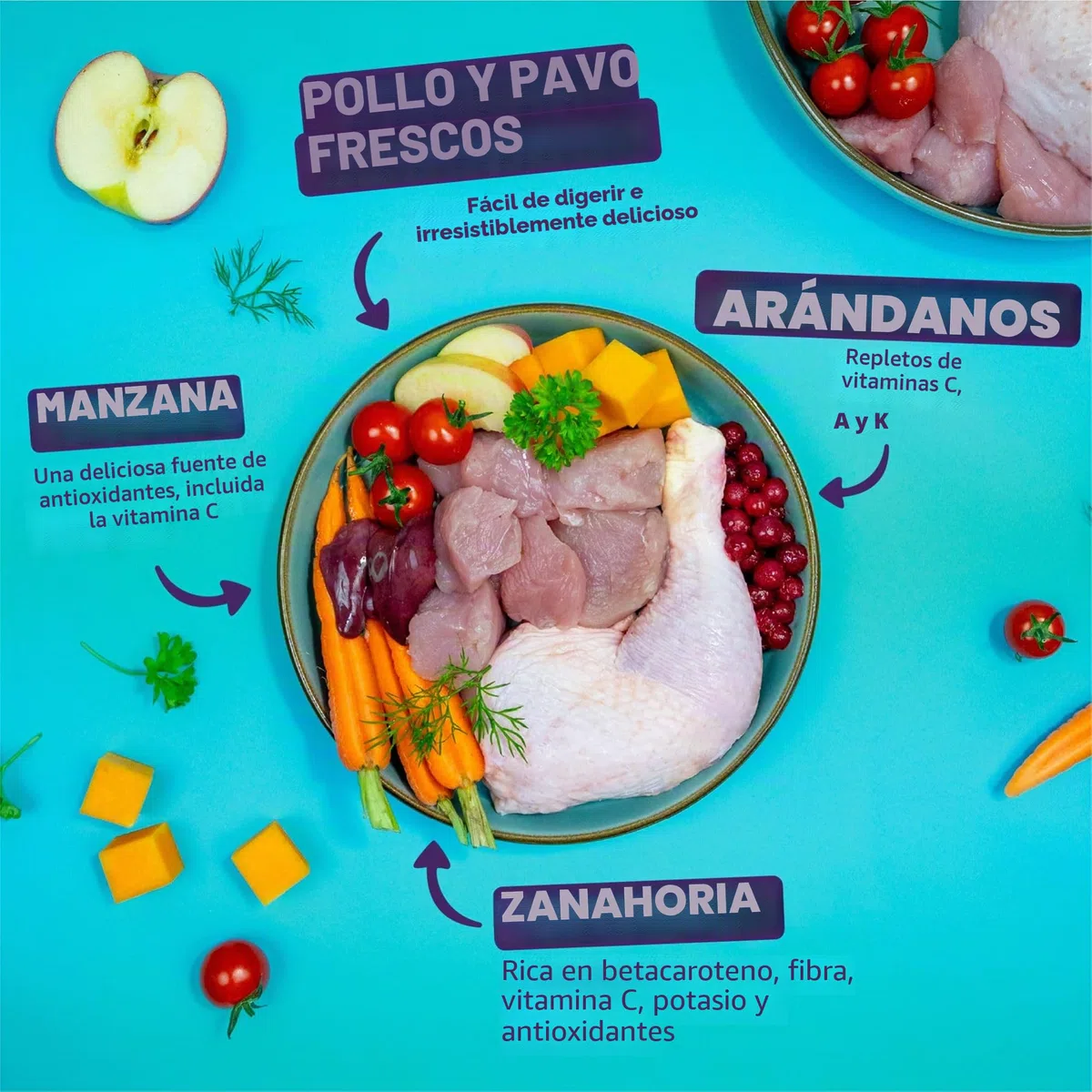 Edgard & Cooper - Paté para Perros (Pollo y Pavo, 300 g x 18), sin Cereales, Carne Fresca y proteínas de Calidad, Ingredientes Reales para Perros, hipoalergénicos, sin azúcares añadidos
