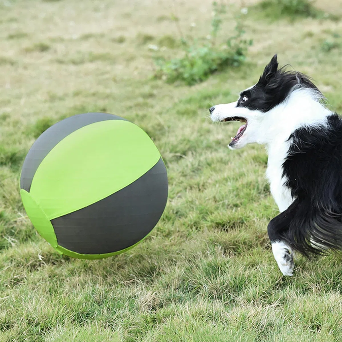 Pelota Pastoreo Perros Mordedor Inflable Cachorros | Pelota Adiestramiento Cachorros Dueños de mascotas, amantes de animales, entrenadores, patio, jardín, parque, piscina