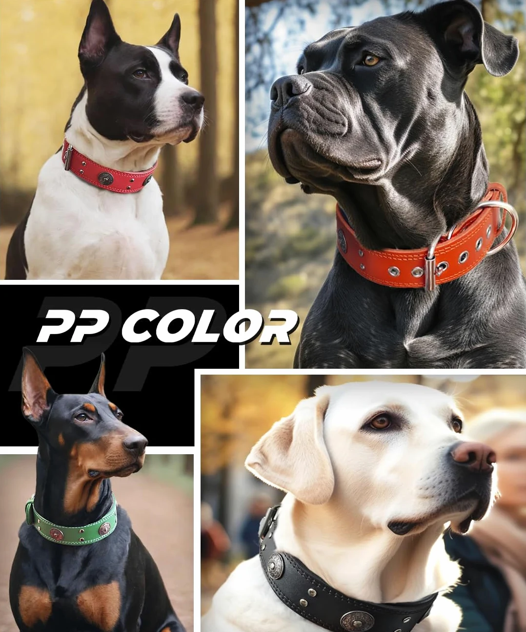 Collar de cuero para perro, collares de cuero genuino resistente de 5 cm de ancho, hecho a mano, suave y lujoso, la mejor opción para perros de raza grande y mediana de 19.5 a 23.5 pulgadas