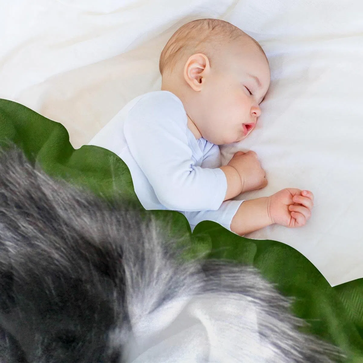 Manta de forro polar, súper suave, lujosa manta de cama Shih Tzu perro cachorro