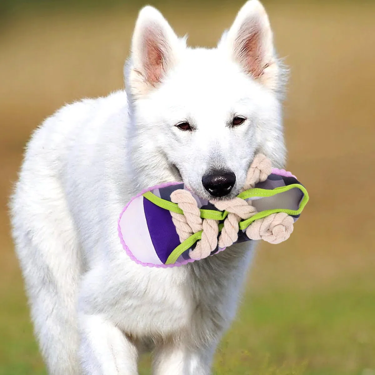 Abaodam Juguete para Perros Forma de Zapato Chirriante Resistente y Ligero para Morder y Limpiar Dientes Entretenimiento y Entrenamiento para Cachorros y Perros Adultos