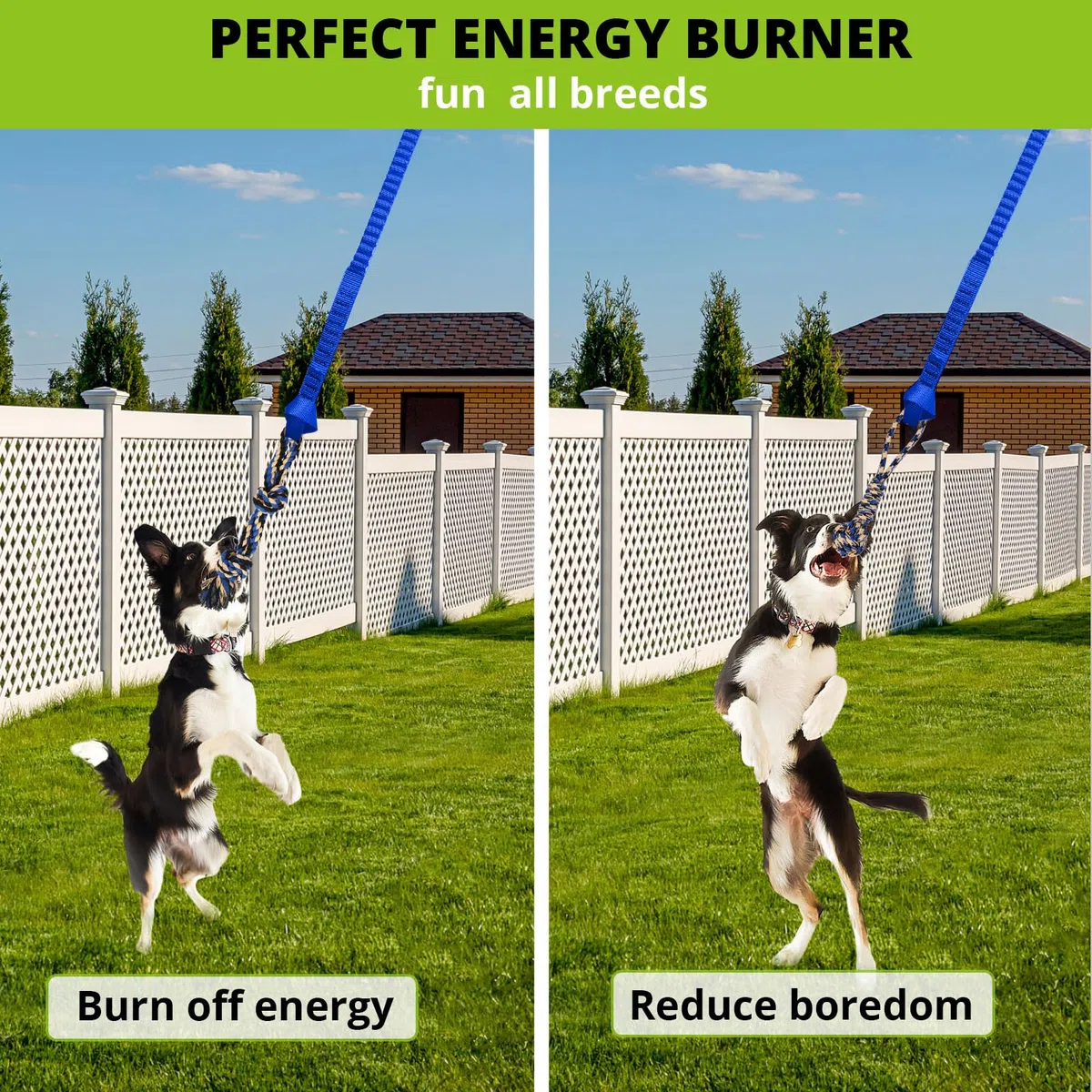 Juguete elástico Colgante para Perros: Cuerda interactiva para Perros pequeños a Grandes Pitbull para Hacer Ejercicio y Equipo de Entrenamiento, Juguete de Cuerda para Perros al Aire Libre