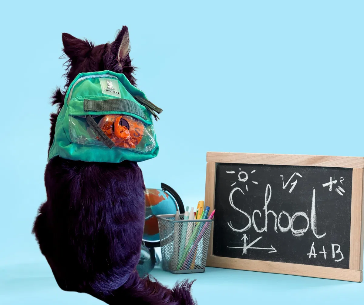 Mochila de senderismo para perros, ligera, ajustable y resistente al agua, ideal para aventuras al aire libre, entrenamiento de cachorros o paseos diarios (pequeño)