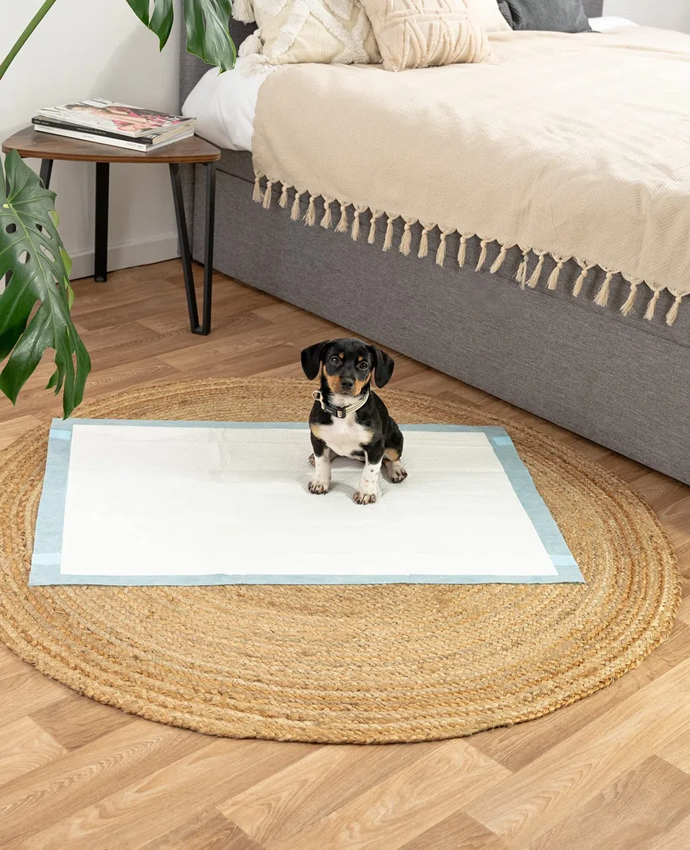 lionto Alfombrilla de Entrenamiento para Cachorros, 6 Capas con Tiras Adhesivas, 100 Unidades 60x90 cm, a Prueba de Fugas y Alta Capacidad de absorción para Animales Enfermos e incontinentes, Azul