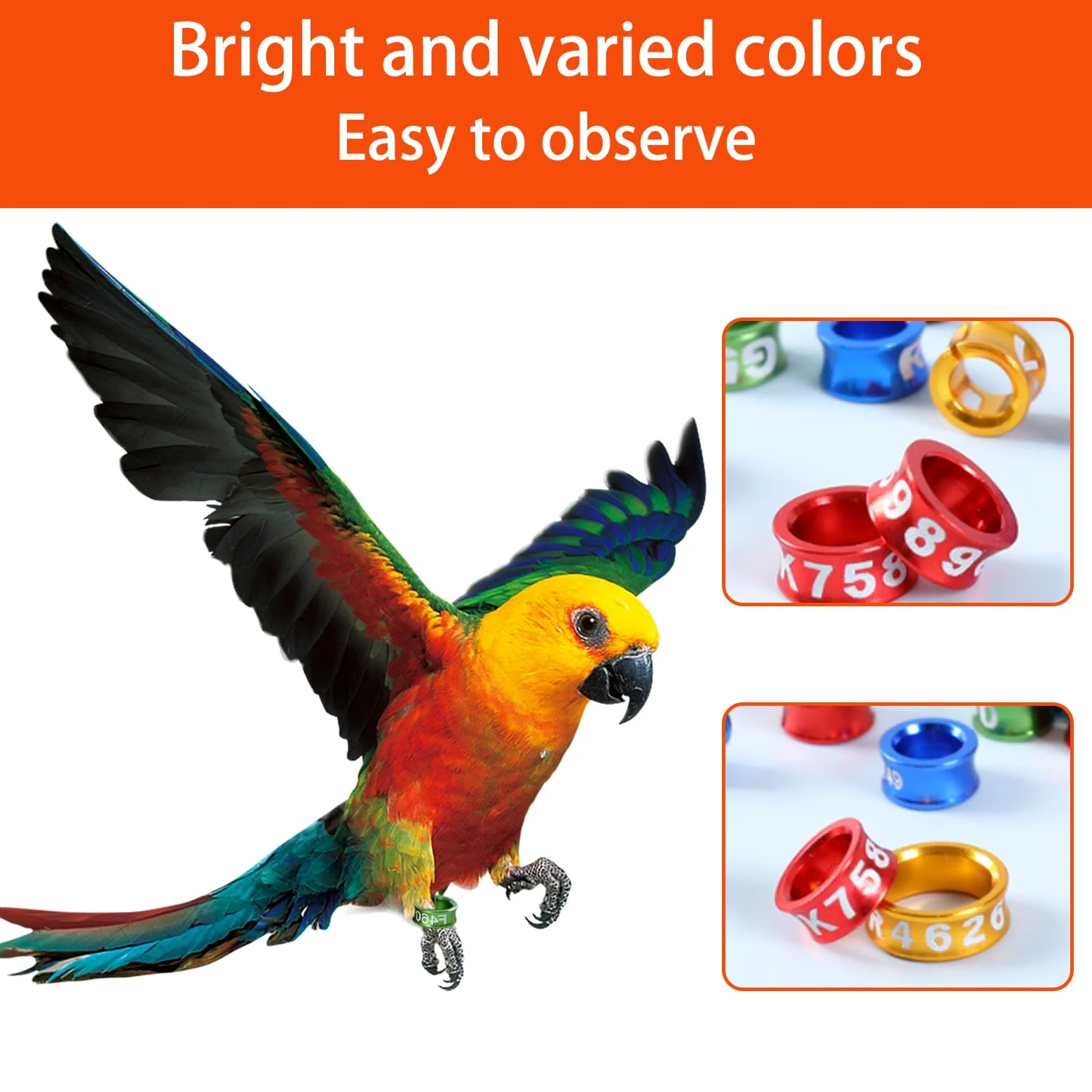 Anillos de Pierna de pájaros de Aluminio de 100 pcs Anillos Cerrados de Palomas ldentificantes Anillos de Entrenamiento de pájaros de Metal Anillos para piernas para Palomas, Loros, peonías