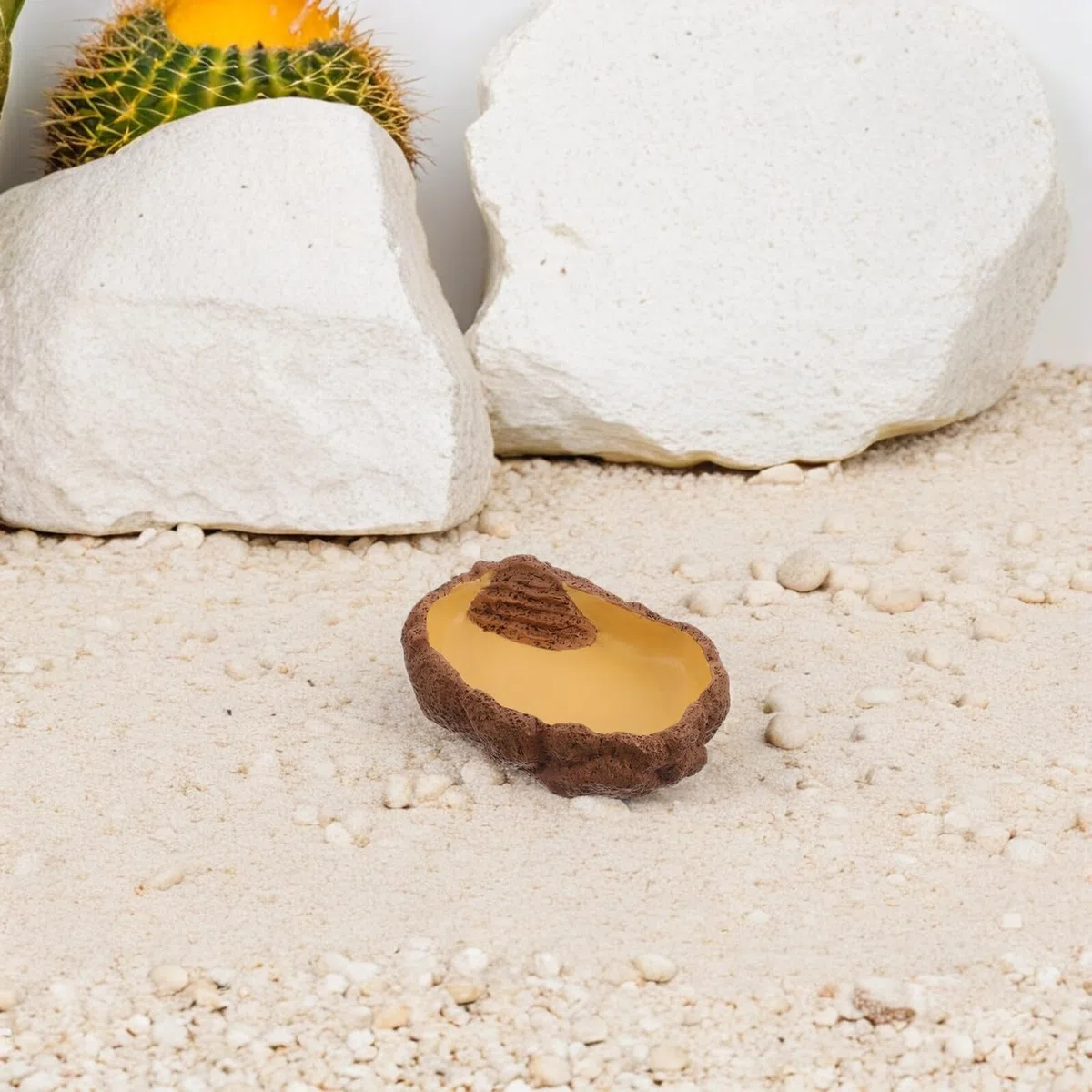 Alasum Cuenco Grande para Reptiles Rampa, Plato de Agua y Comida Resistente para Terrarios, Cuenco para Lagartos, Tortugas y Anfibios, Alimentación E Hidratación Fácil, Material
