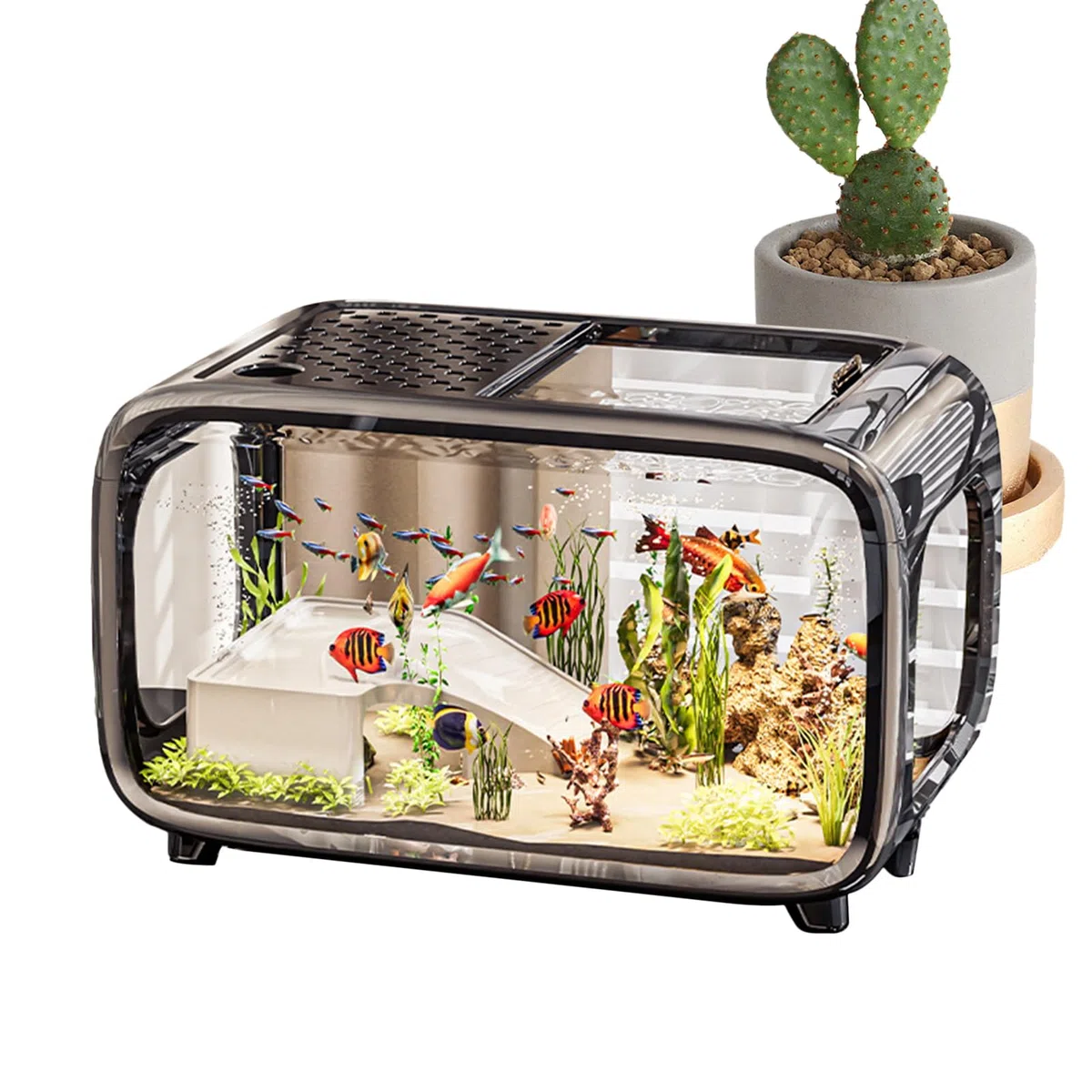 Pecera De Escritorio Cuenco Acrílico Transparente como Hábitat | Pecera Acuapaisajismo Acuario Para Betta, Caracoles, Camarones, Plantas Y Animales Acuáticos, Decoración De Escritorio